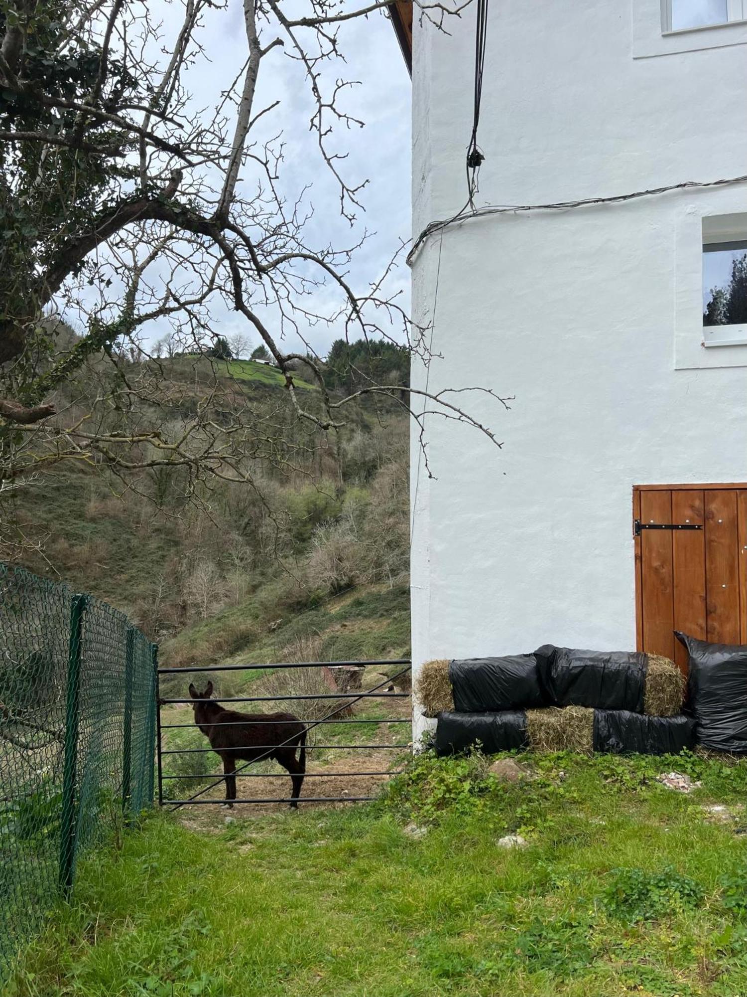 Fantastico Retiro Rural En El Corazon De Euskadi Apartment Elgoibar Bagian luar foto